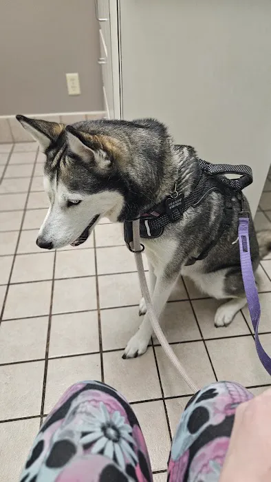 Animal Wellness Center of Pontiac 3