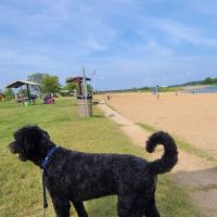 Roundbarn Veterinary Center, LLC ico