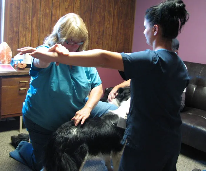 Chenoa Veterinary Clinic 5