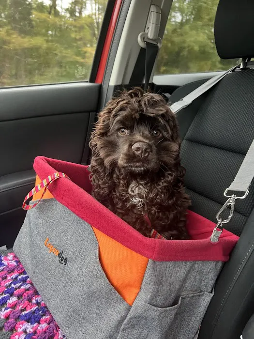 Four Paws Veterinary Clinic, SC 4