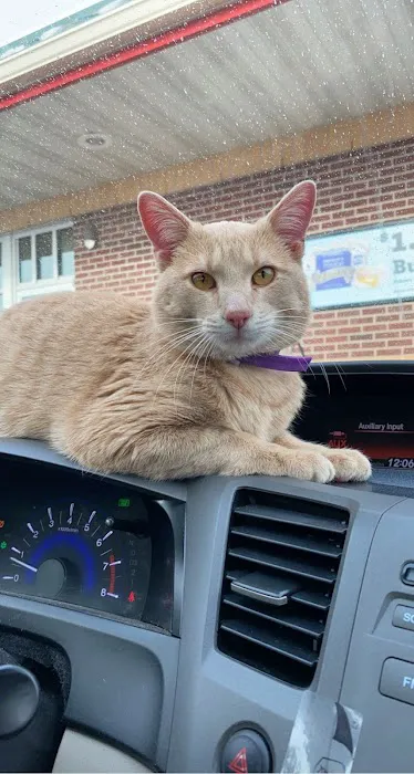 Four Paws Veterinary Clinic, SC 5