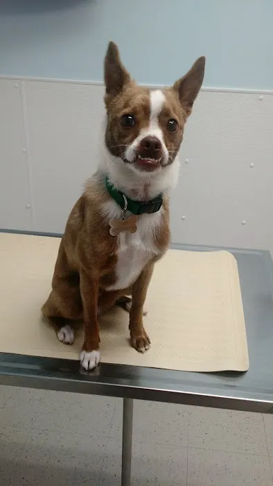 Four Paws Veterinary Clinic, SC 3