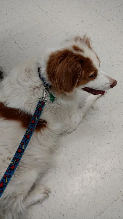 Four Paws Veterinary Clinic, SC 1