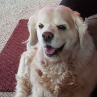 Baraboo Valley Veterinary Clinic ico