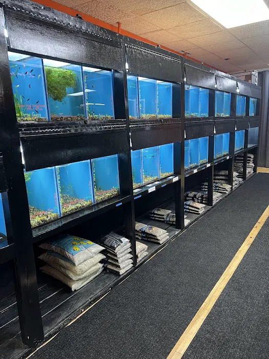 Granite City Aquaria 10