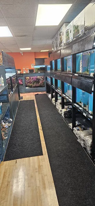 Granite City Aquaria 4