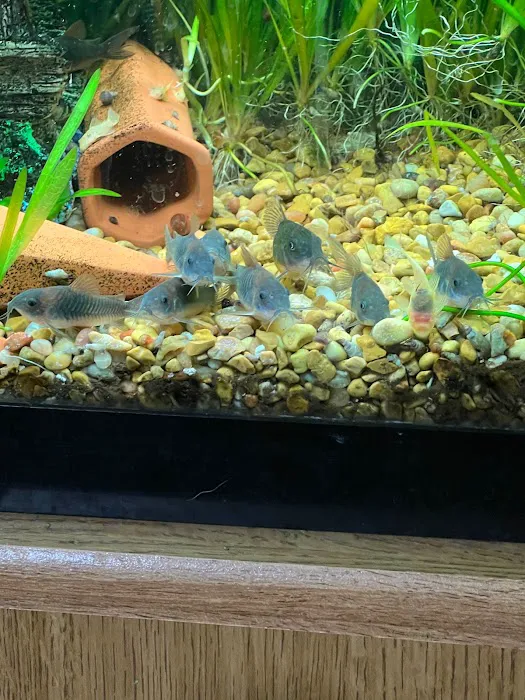 Granite City Aquaria 3