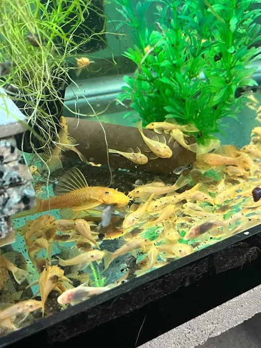 Granite City Aquaria 8