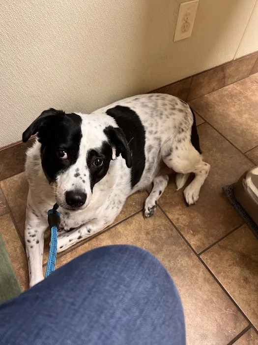 Portage Veterinary Clinic 7