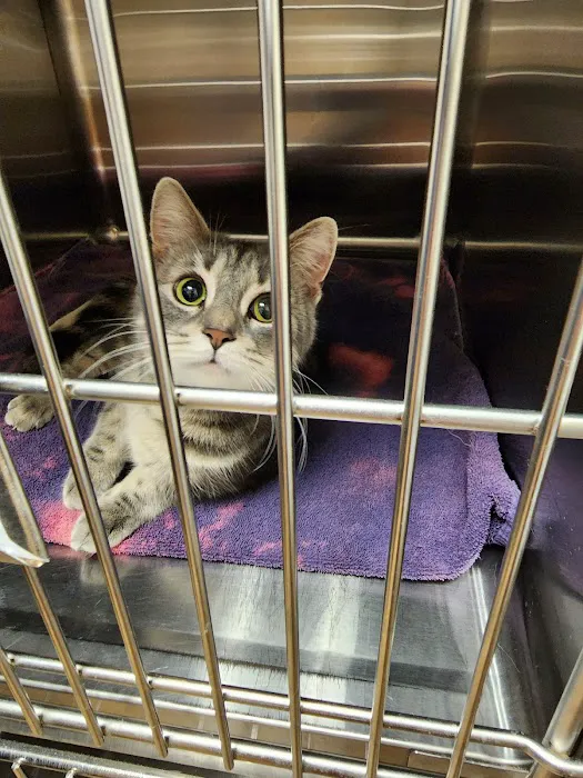 Portage Veterinary Clinic 8
