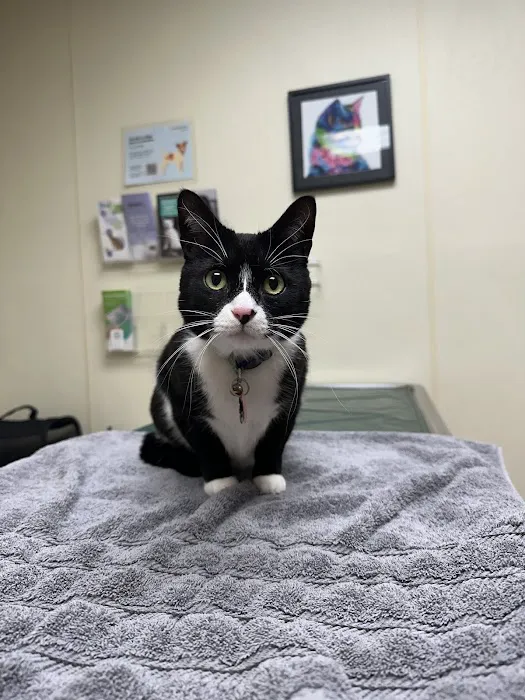 Portage Veterinary Clinic 2