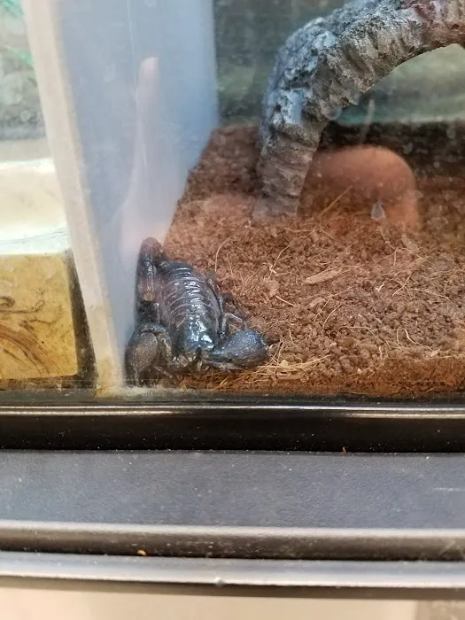Petco 9