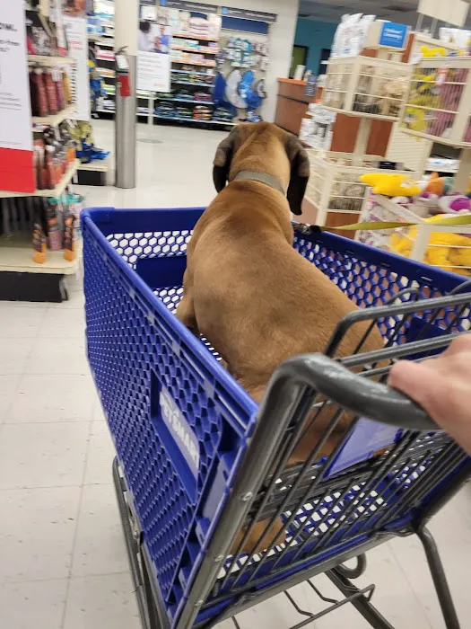 Petco 6
