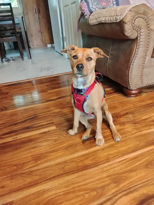 Petco 7