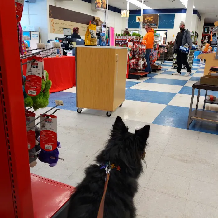 Petco 1