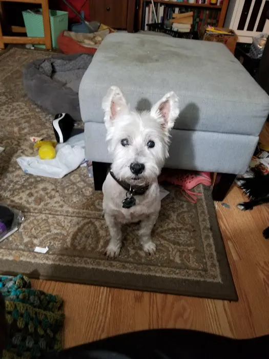 Petco 3
