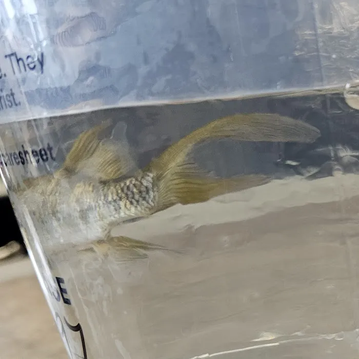 Petco 4