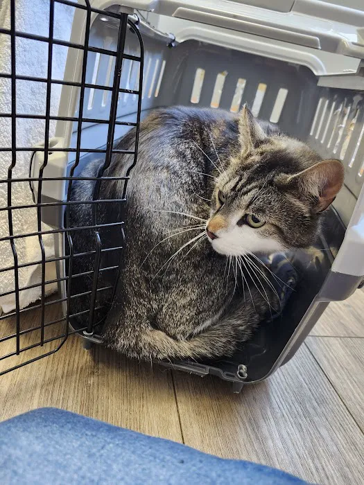Darby Creek Veterinary Clinic, LLC 1