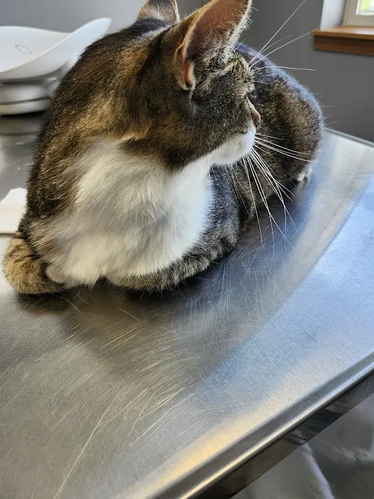 Darby Creek Veterinary Clinic, LLC 5