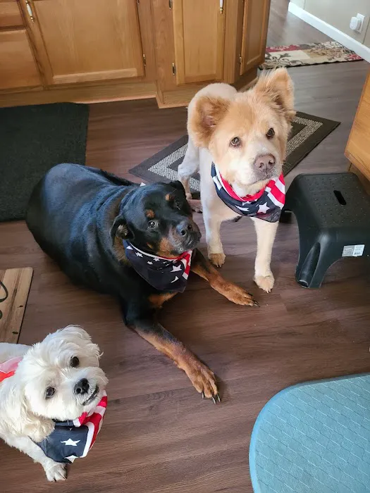 Darby Creek Veterinary Clinic, LLC 8