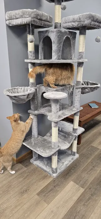 Darby Creek Veterinary Clinic, LLC 6