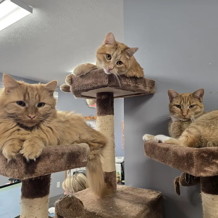 Darby Creek Veterinary Clinic, LLC 10