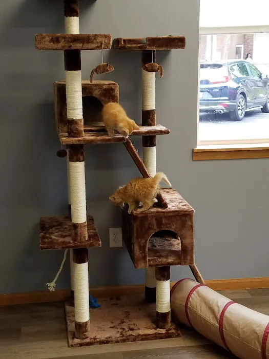 Darby Creek Veterinary Clinic, LLC 9