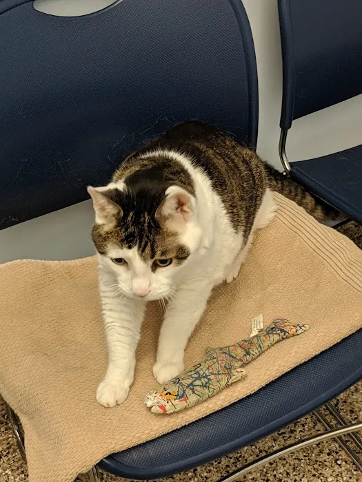 Plain City Animal Hospital 5