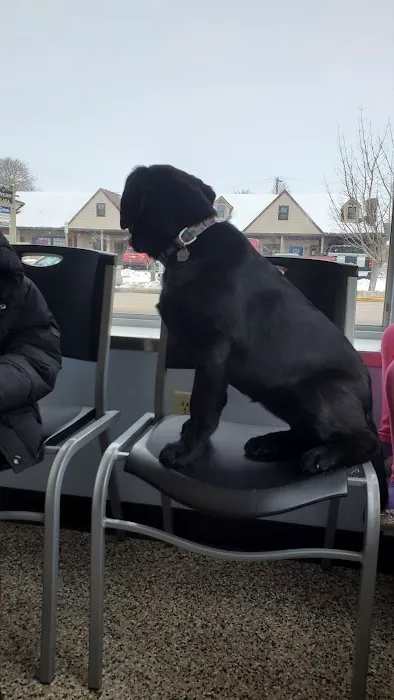 Plain City Animal Hospital 8