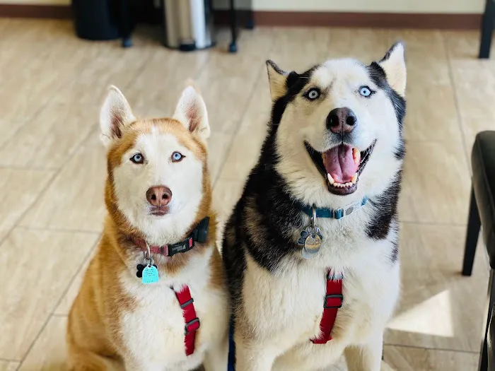 Liberty Pet Hospital 4
