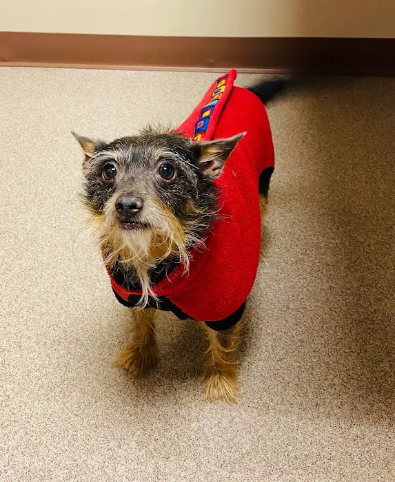 Liberty Pet Hospital 6