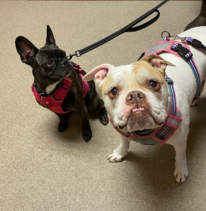 Liberty Pet Hospital 7