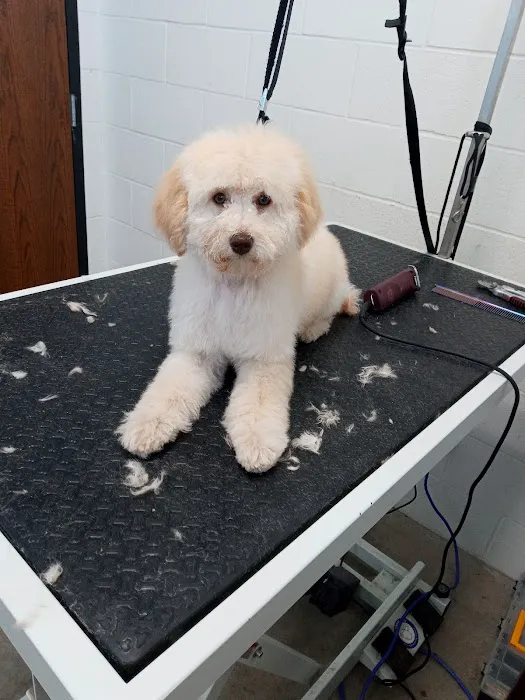 Olentangy Premier Pet Care 5