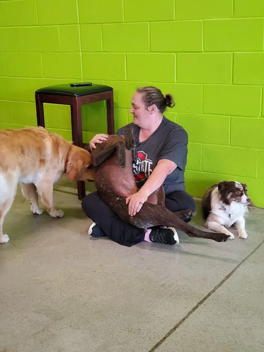 Olentangy Premier Pet Care 6