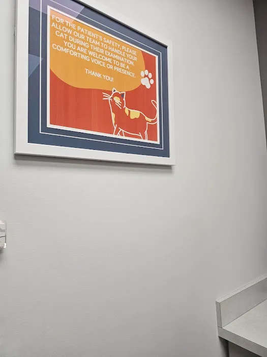 Cats Only Veterinary Clinic of Lewis Center 4