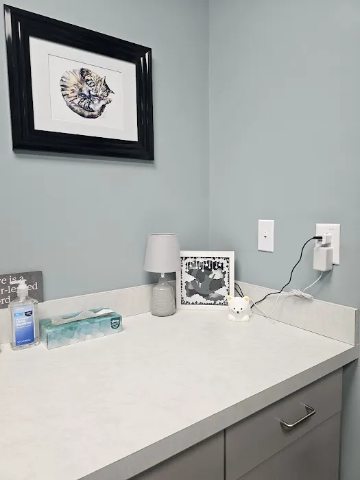 Cats Only Veterinary Clinic of Lewis Center 1