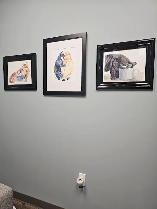 Cats Only Veterinary Clinic of Lewis Center 7