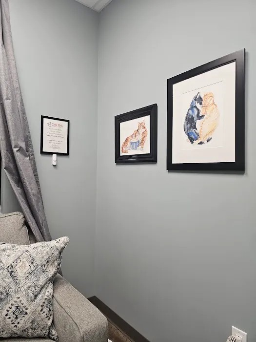 Cats Only Veterinary Clinic of Lewis Center 3
