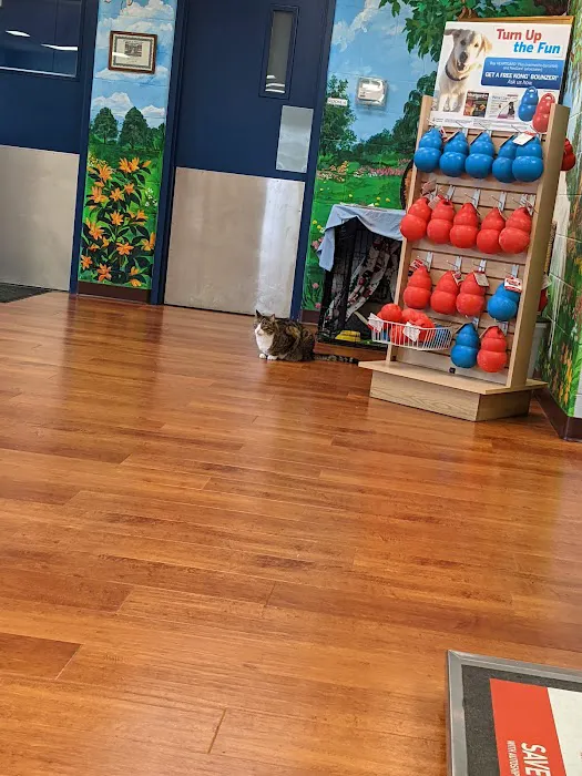 Big Walnut Animal Care Center 10