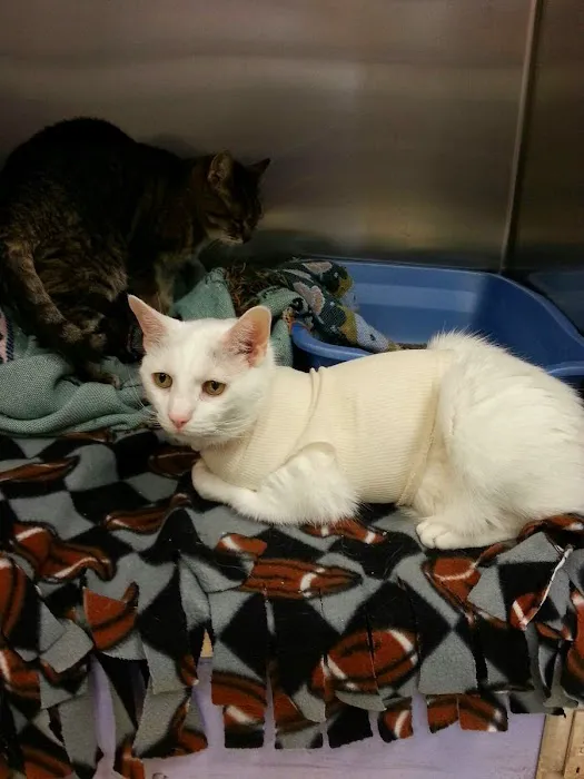 Big Walnut Animal Care Center 3