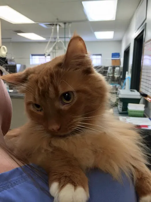 Big Walnut Animal Care Center 4
