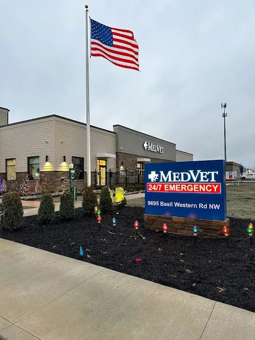 MedVet Diley Hill 8