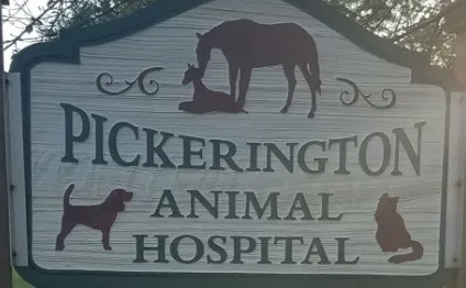 Pickerington Animal Hospital 1