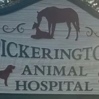 Pickerington Animal Hospital ico