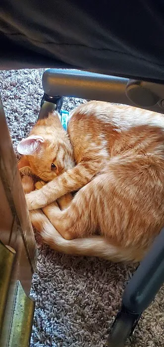 Creature Comforts Veterinary Center 7