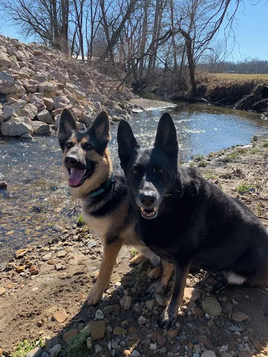 Creature Comforts Veterinary Center 8