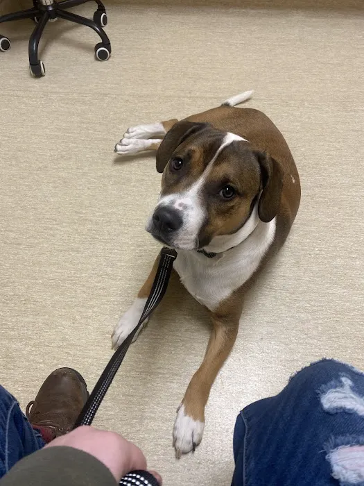 Creature Comforts Veterinary Center 6