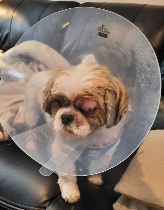 Hudson Pet Hospital 7
