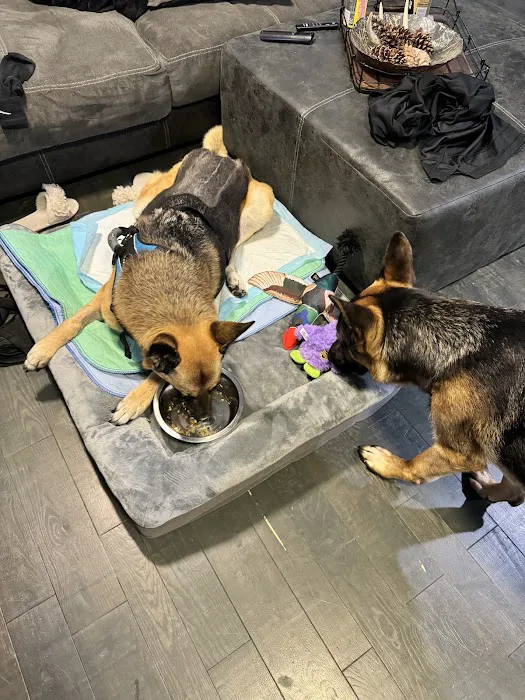 Hudson Pet Hospital 9