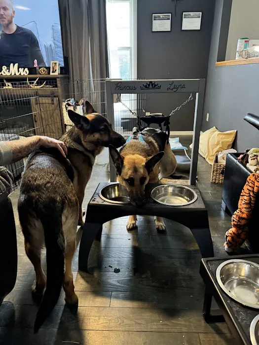 Hudson Pet Hospital 3